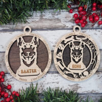 Belgian Malinois
