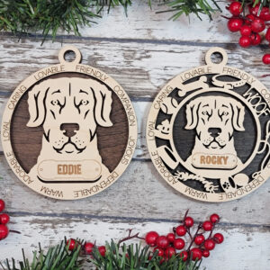 Chesapeake Bay Retriever
