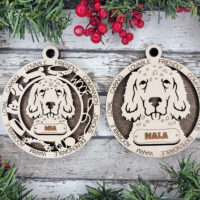 English Setter