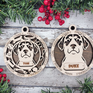 Entlebucher Mountain Dog