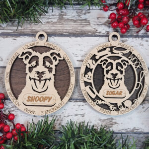 Jack Russel (Long Haired)